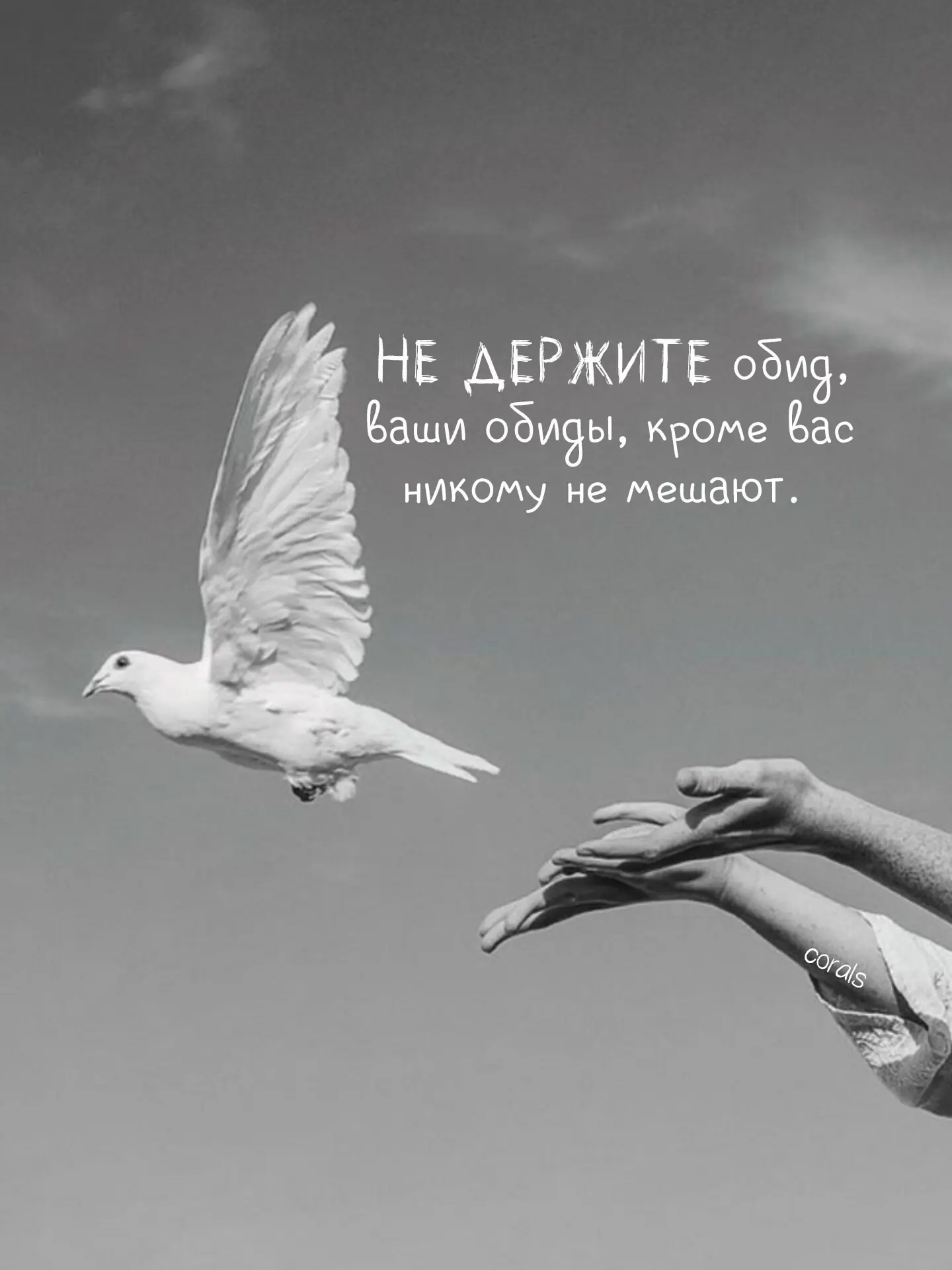 Японская мудрость: 30 ключевых фраз.