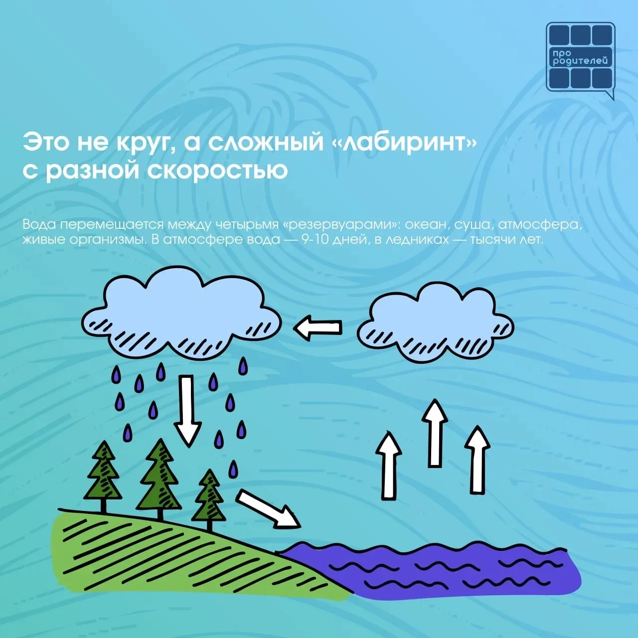 💦 Круговорот воды: почему это круче, чем кажется!