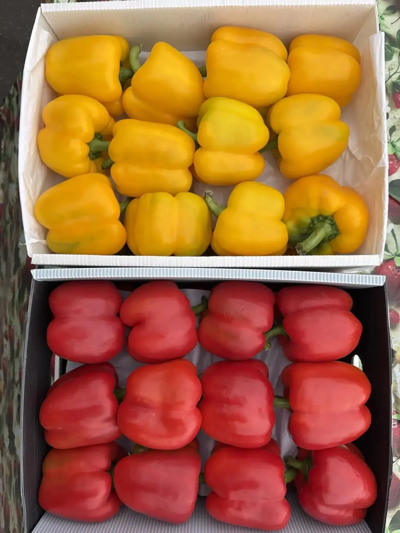 Овощи отдельно снять  не успели, просто сфотографировали 🥬📸