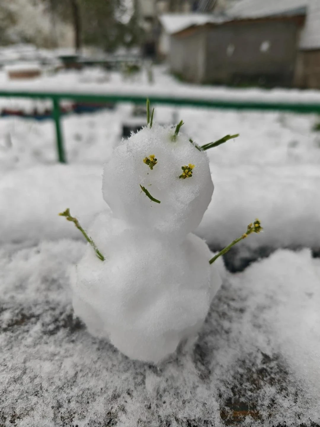 ❄️ С первым снегом!