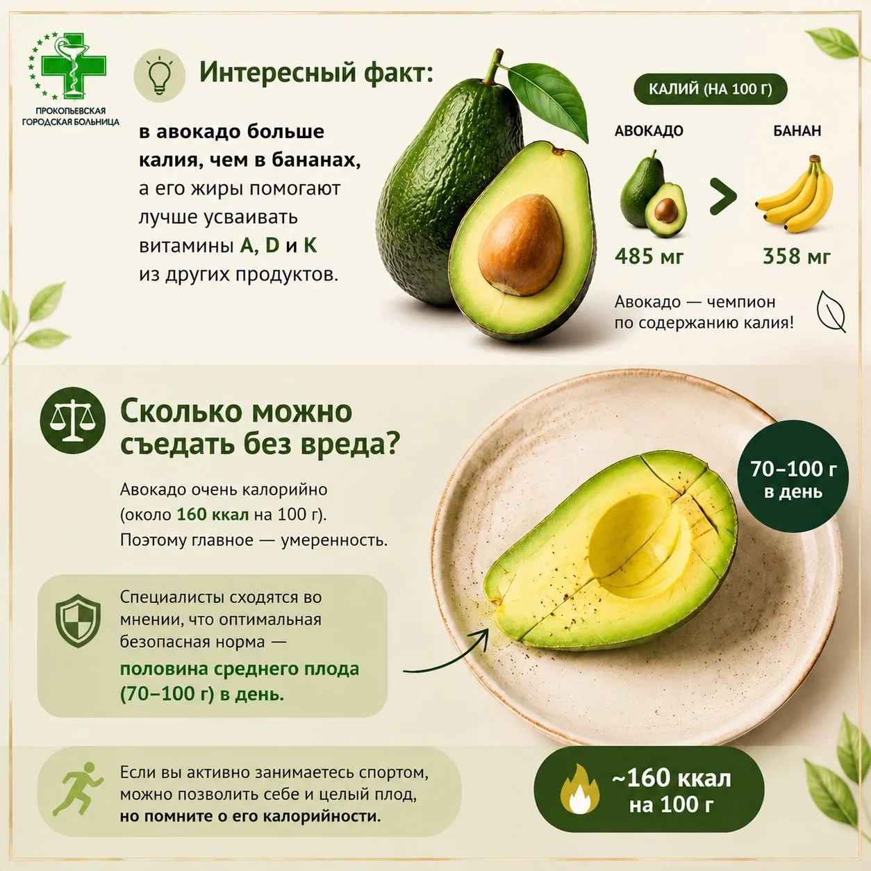 🥑 Авокадо: суперфуд или лишний жир? Разбираемся!