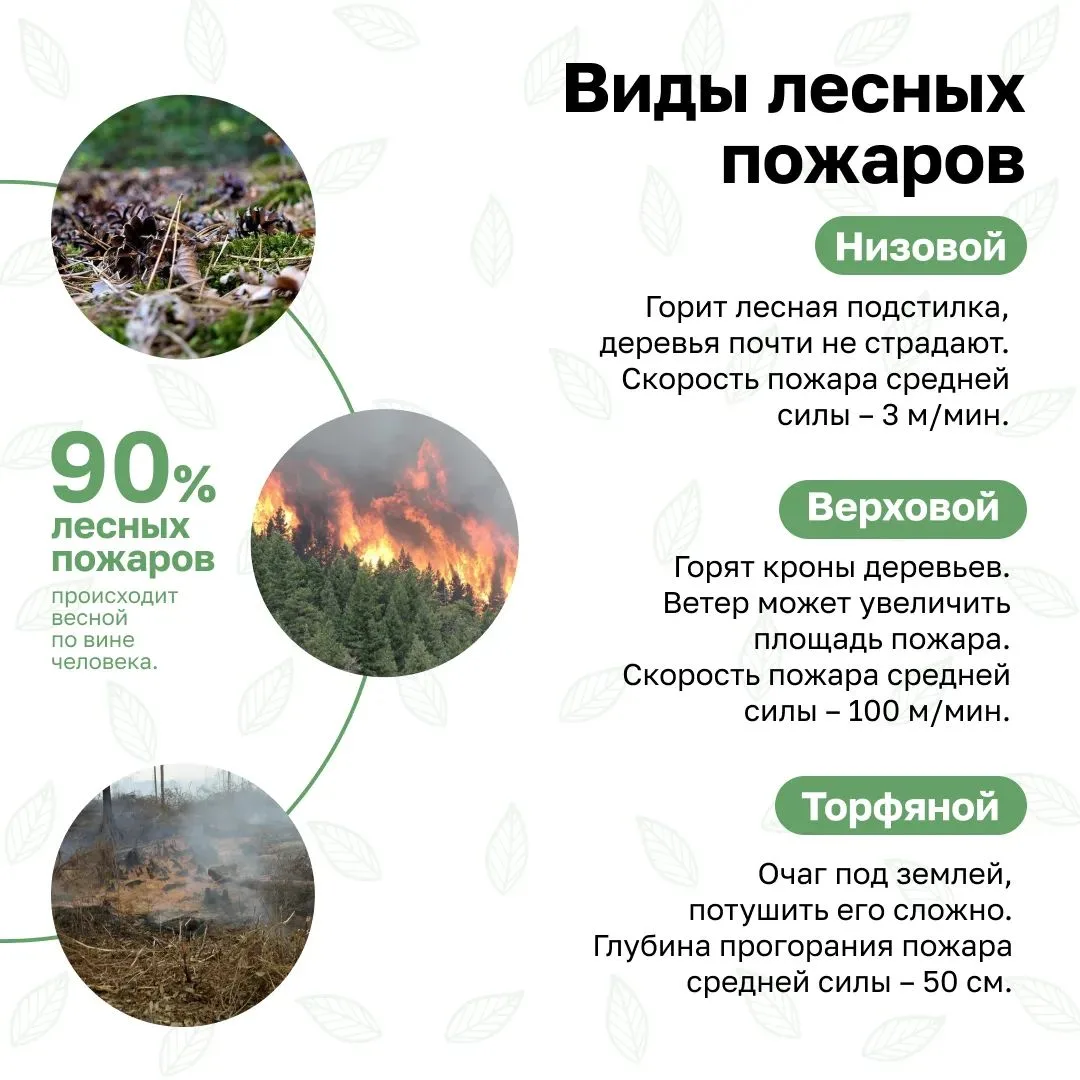 🔥 Лесные пожары — одна из главных угроз для наших лесов. И часто причина — в простых, ...