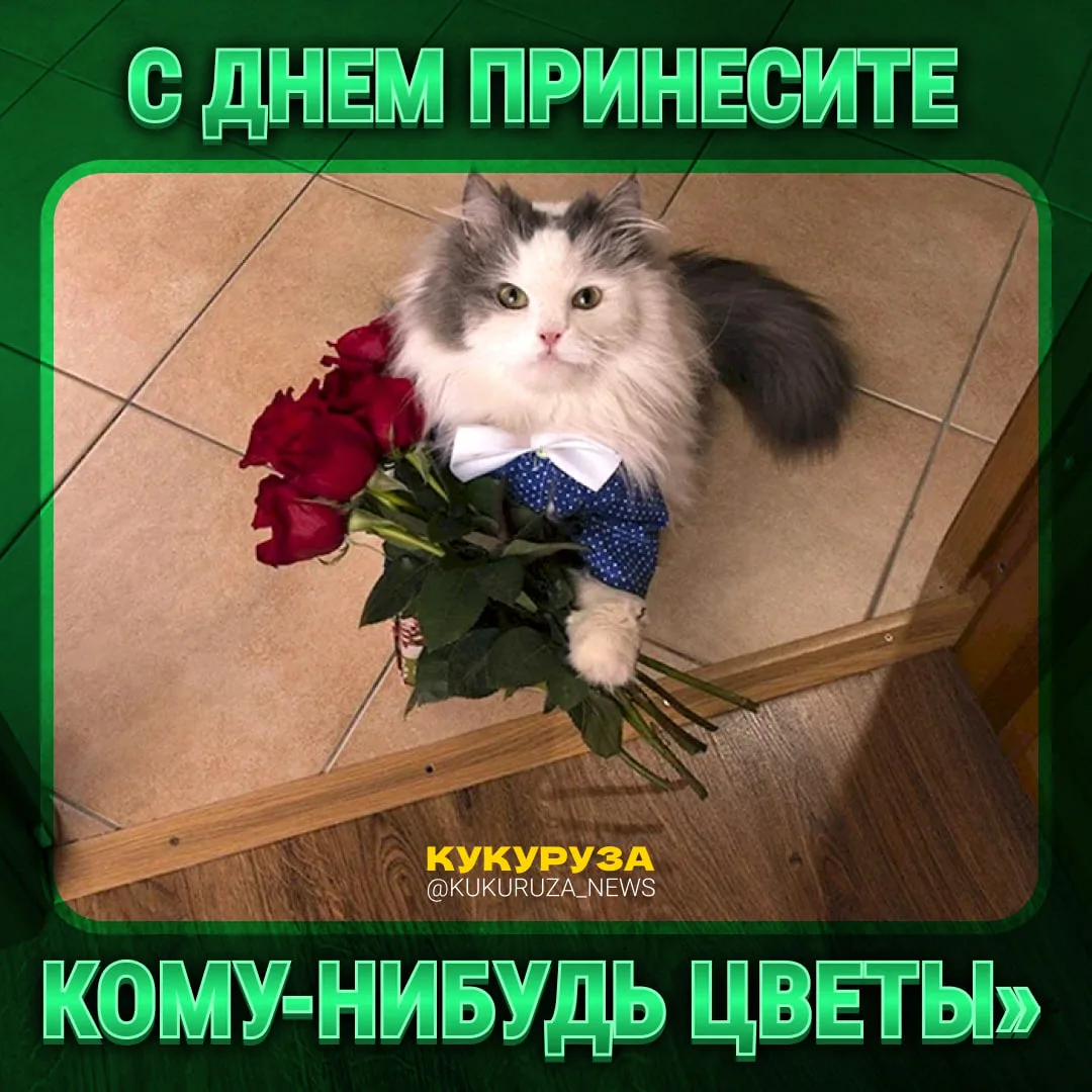 Дарите, как говорится, женщинам цветы. Без повода и без причины.  Особенно в такой день! Поздравляйт