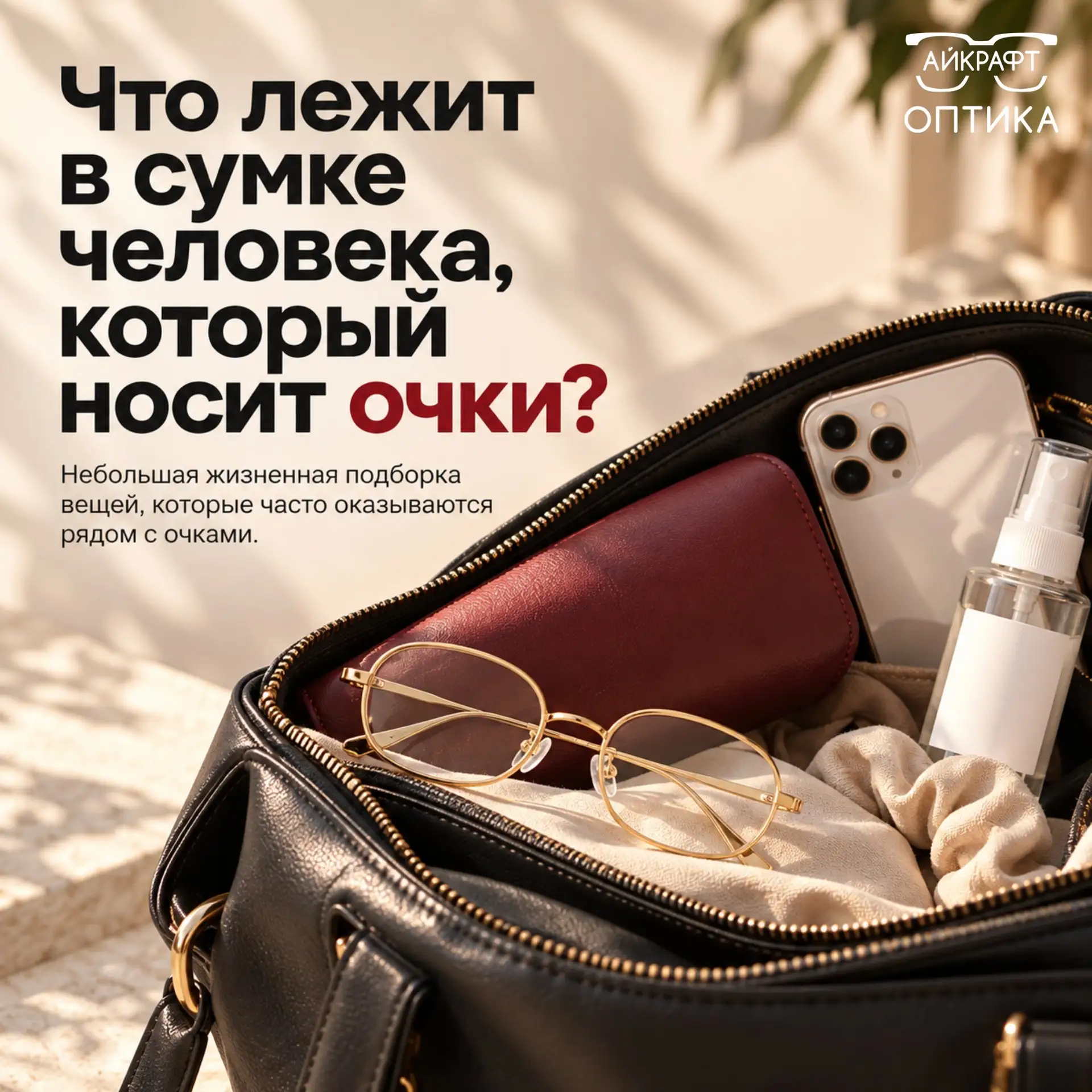 Что лежит в сумке человека, который носит очки? 👓