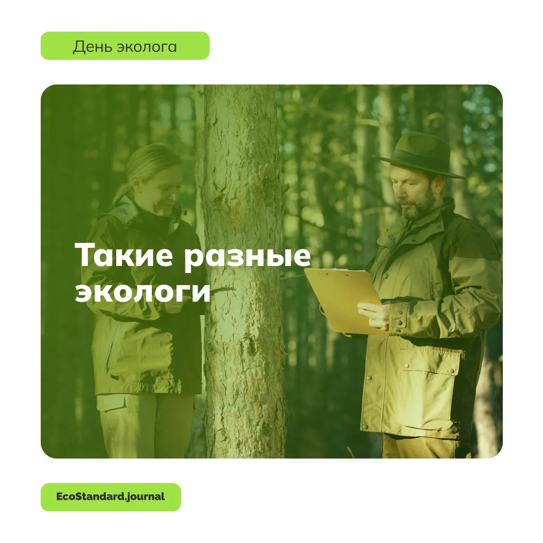 Спецпроект EcoStandard.journal