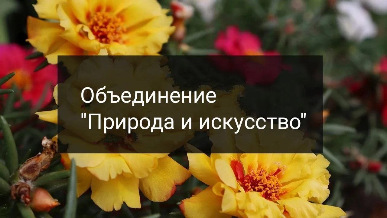 Объединение "Природа и искусство"