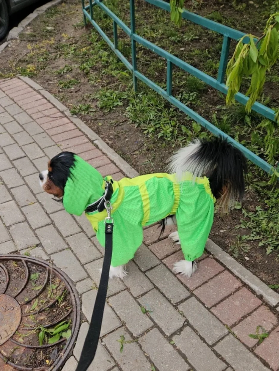 Всем доброе утро,  друзья! 🤗