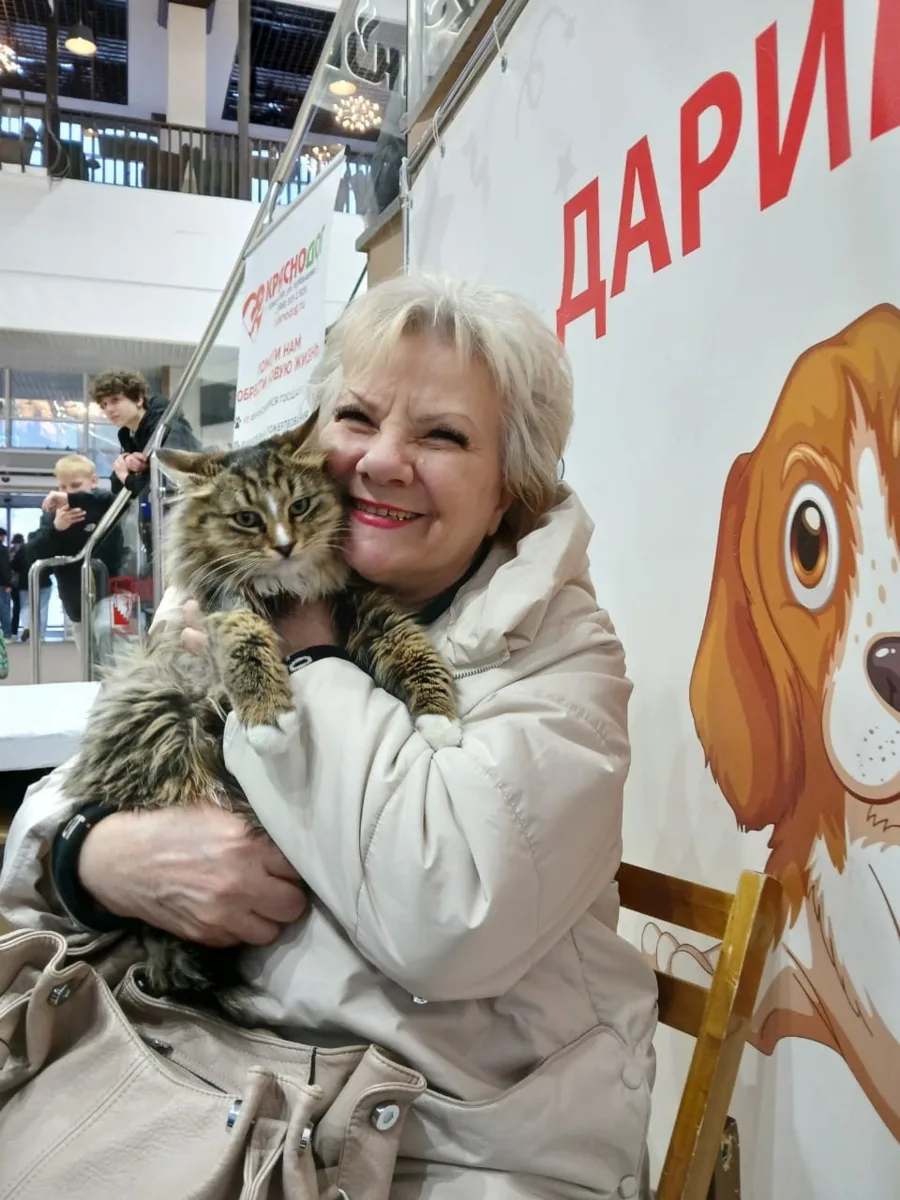 🙌 Друзья, очень рады поделиться результатами совместной акции с приютом «КрасноДог», к...