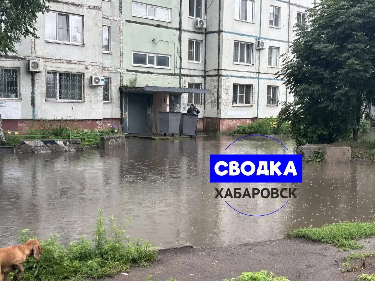Изображение 5 к публикации «Вкратце | Хабаровск | ДВ, Дальний Восток, ХБК, 27 регион»