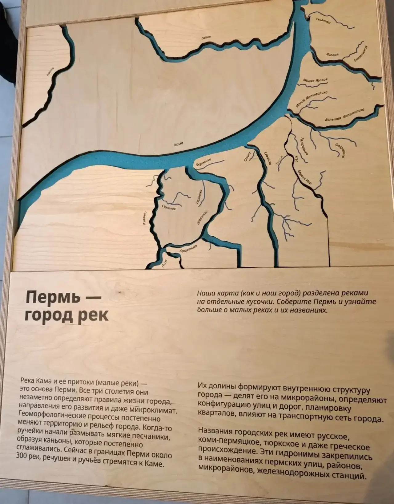 В рамках IV Всероссийского урбанистического Плеженинга обсудили развитие водно-зеленого...