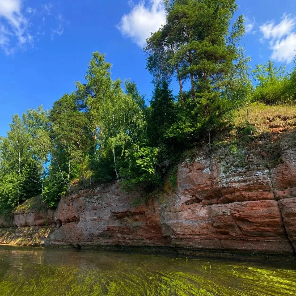 Оредежская тропа: 11,5 км покоя и красоты 🌿🌊

Если давно хотели вырваться из города, замедлиться и