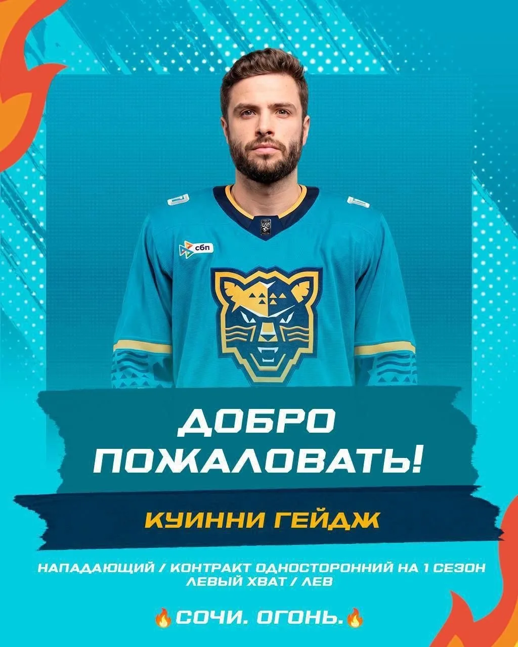 ХК Сочи интересный состав формирует! Русская Флорида намерена побороться за выход в плей-офф?