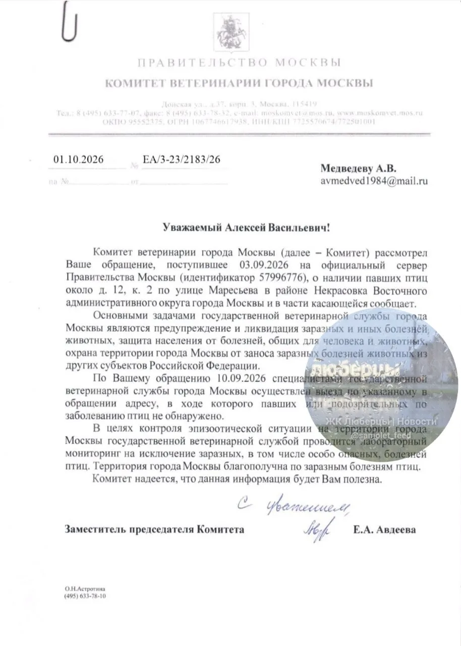 В конце августа соседи в Некрасовке заметили мёртвых птиц и сразу направили обращение в...