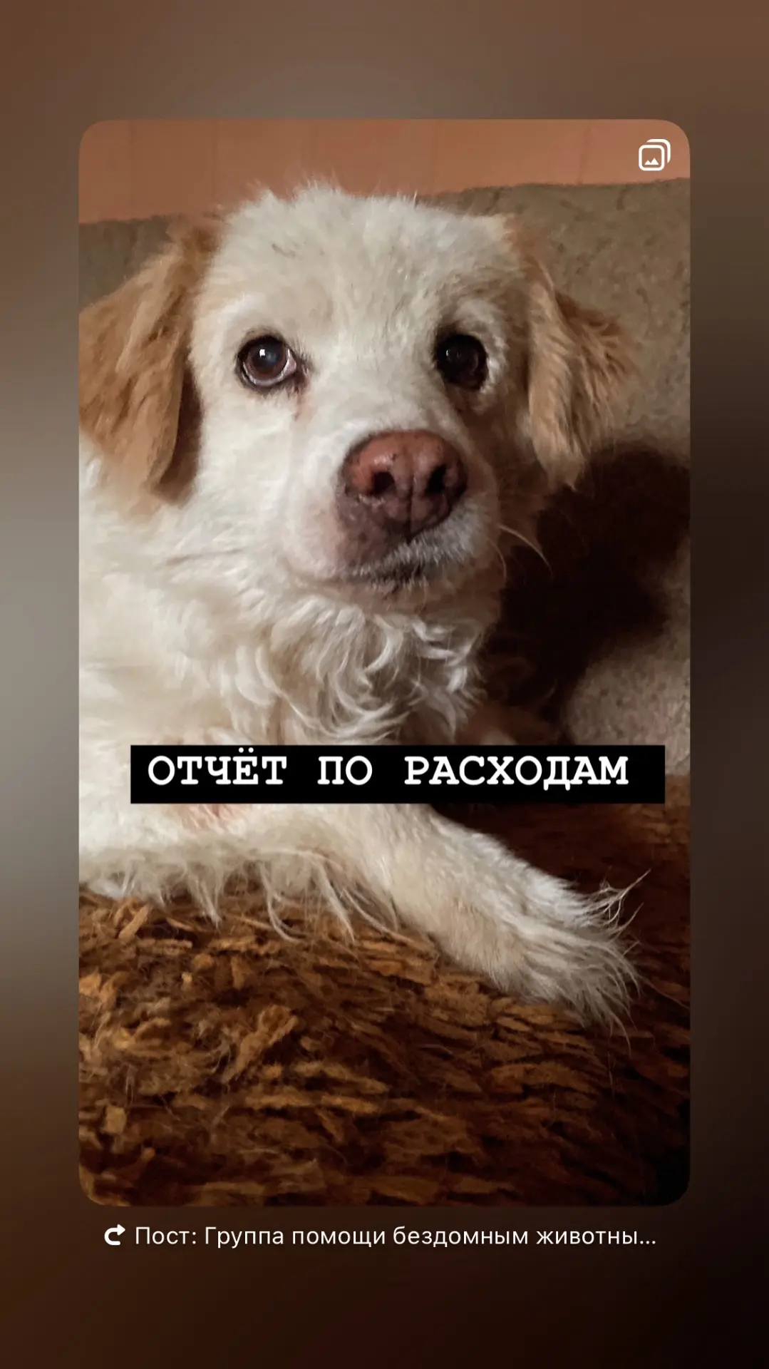 ❌ОТЧЕТ РАСХОДА❌
