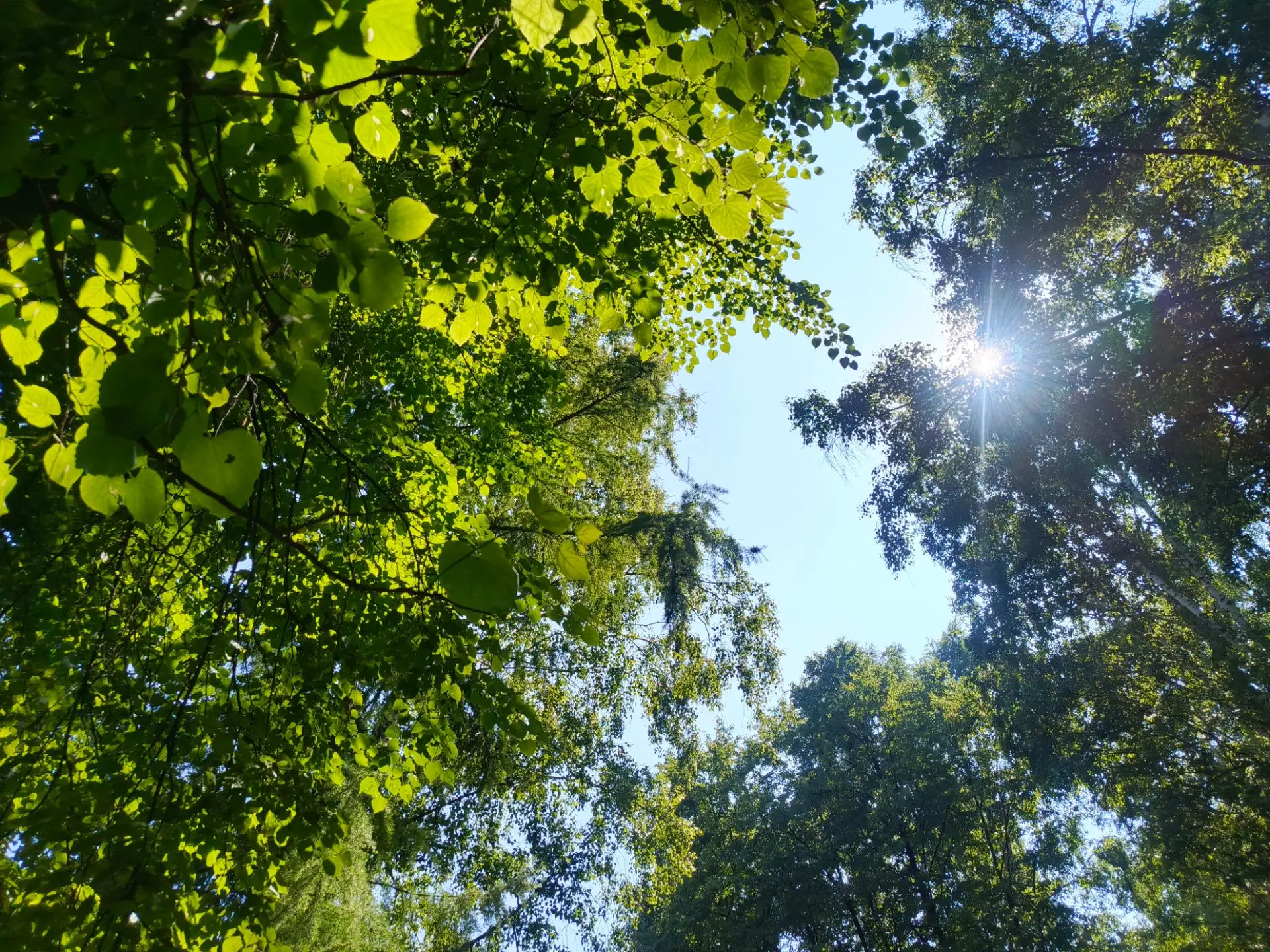 Доброе утро, Новокузнецк! ☀️