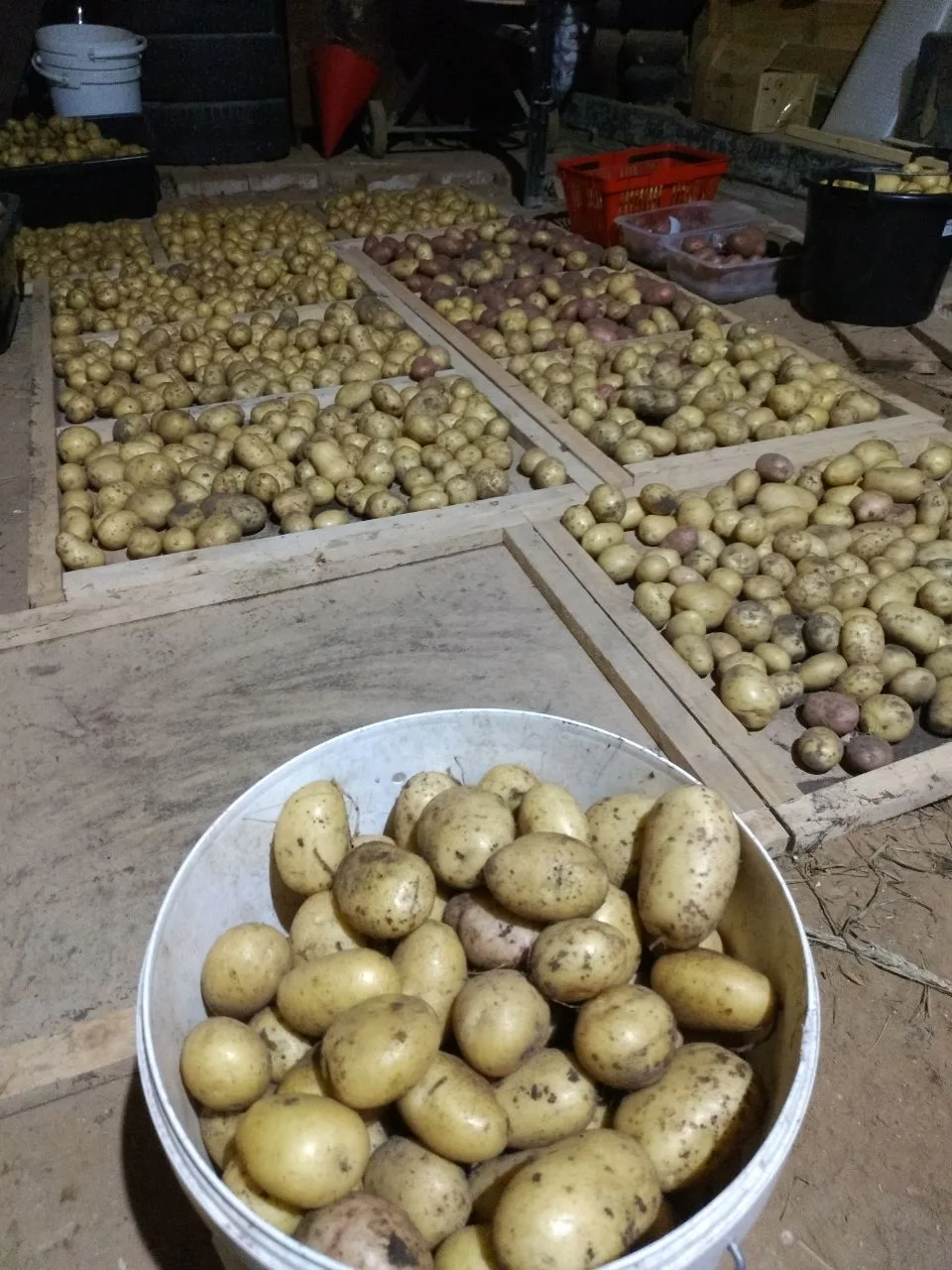 Закрома!)..
