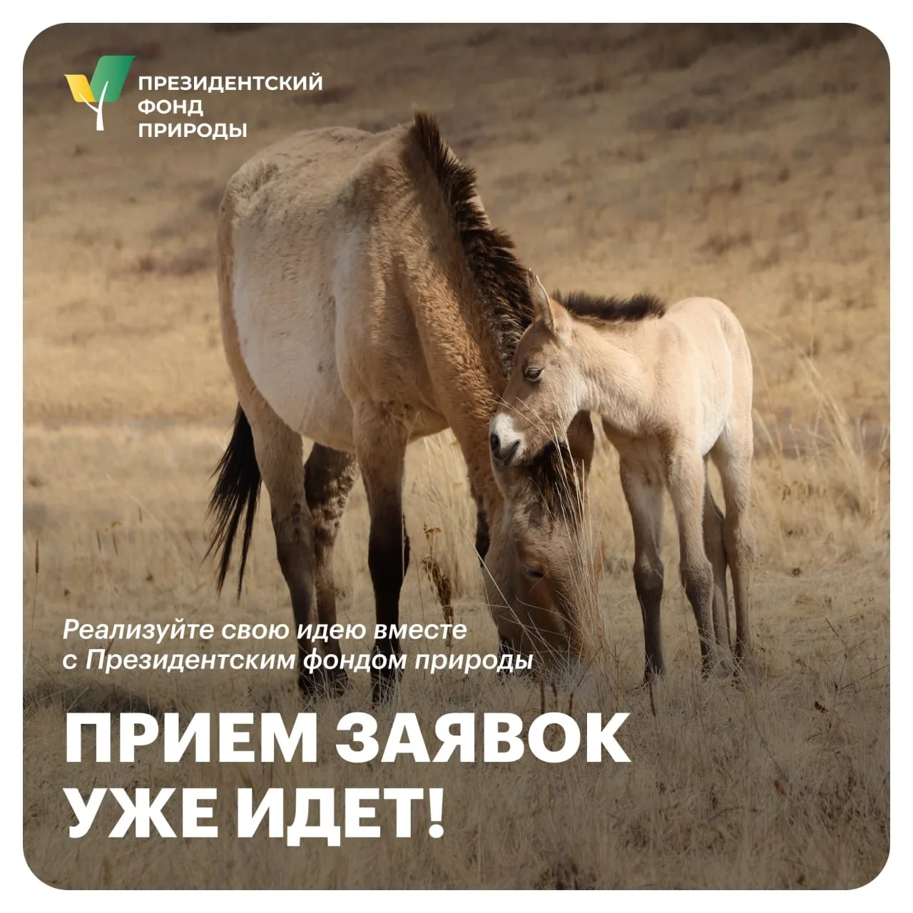 💚 Этот день настал!