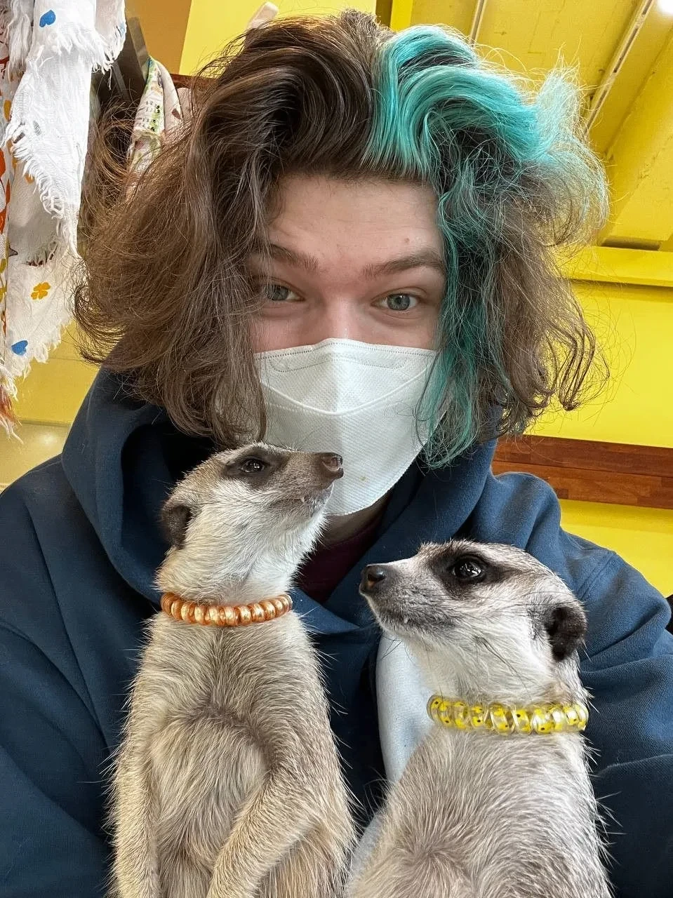 Сурикатики 🐾