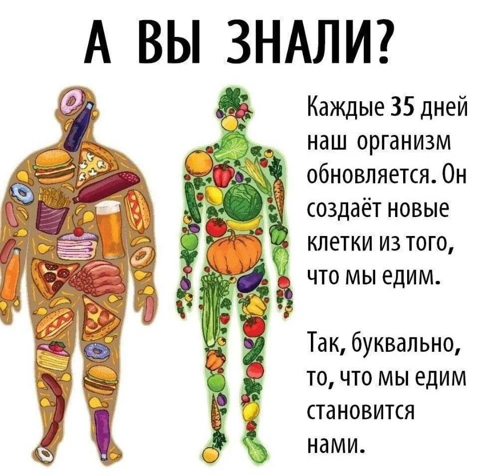 Знали?

Делаем твой режим!