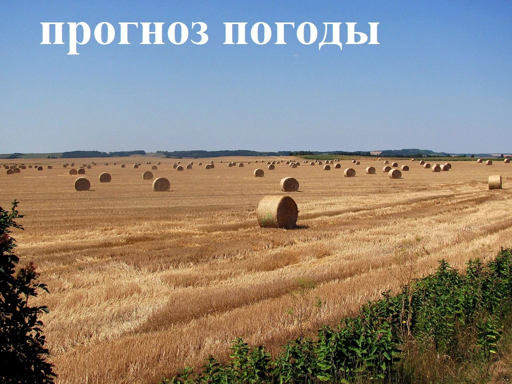 23 августа: переменная облачность, местами кратковременный дождь. Ветер южный 7-12 м/с....