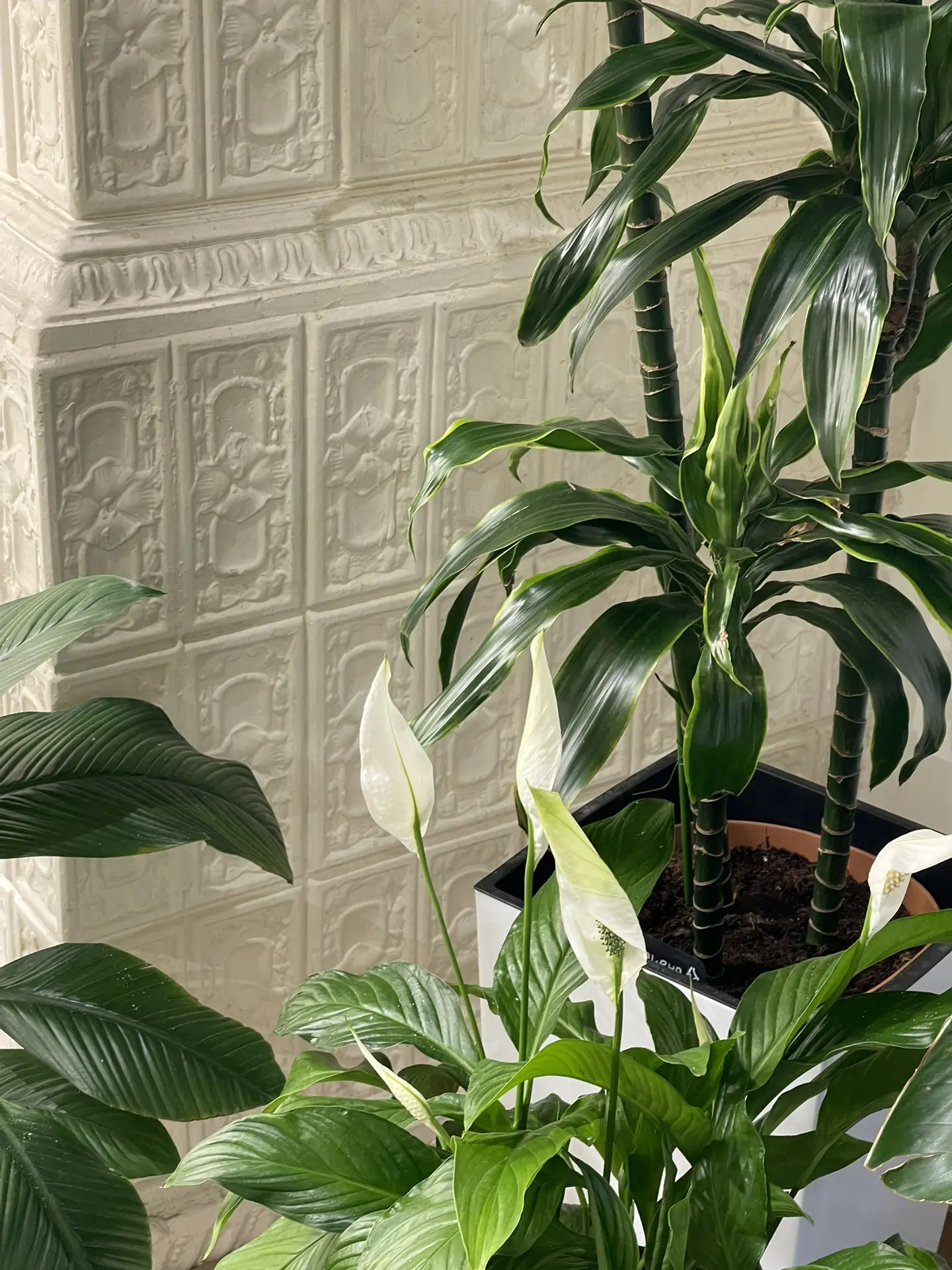 Актуальный режим работы на длинный уикенд 🌱