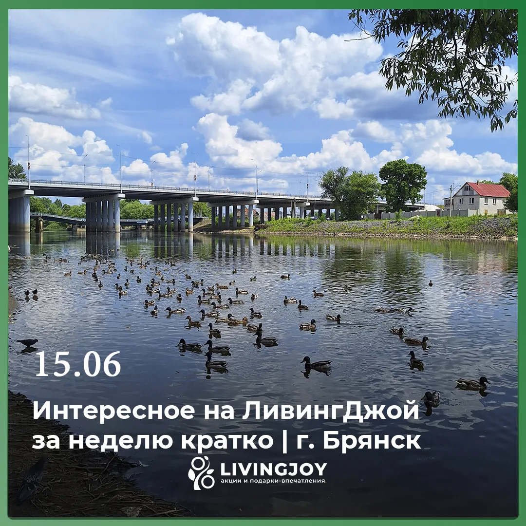 🦆 15 июня. На улице наконец-то небольшой спад жары и моментами легкий, освежающий дождик. Местные у