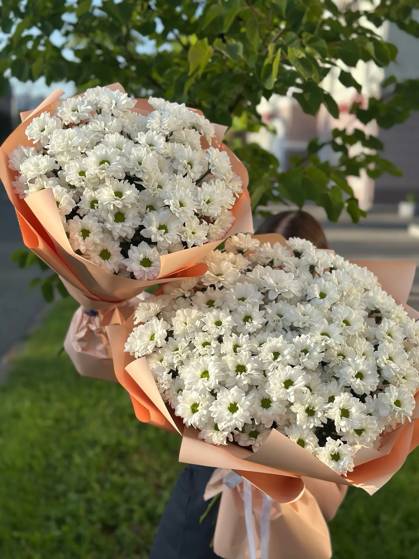 С Днем Хризантемы 🧡