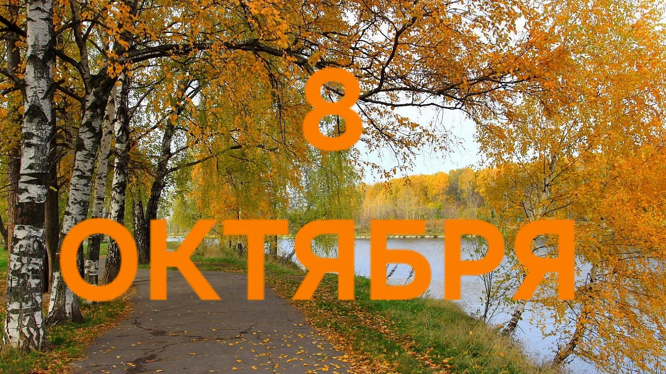 8 Октября: Энергия саморазвития и личностного роста, открывает новый цикл! ❤️🌸