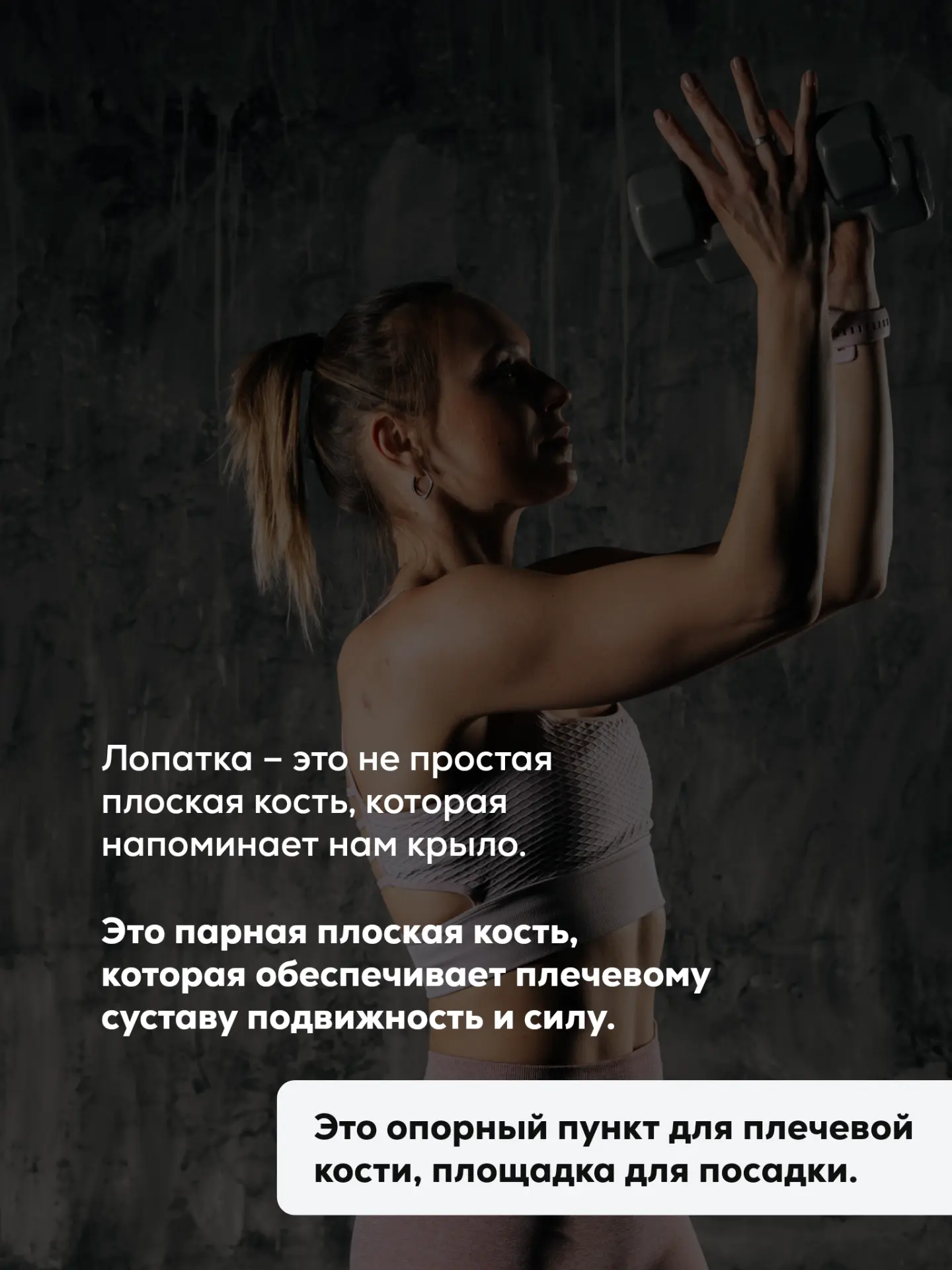 Плечевой сустав один из самых подвижных в нашем теле  Но при большой подвижности часто бывают пробле