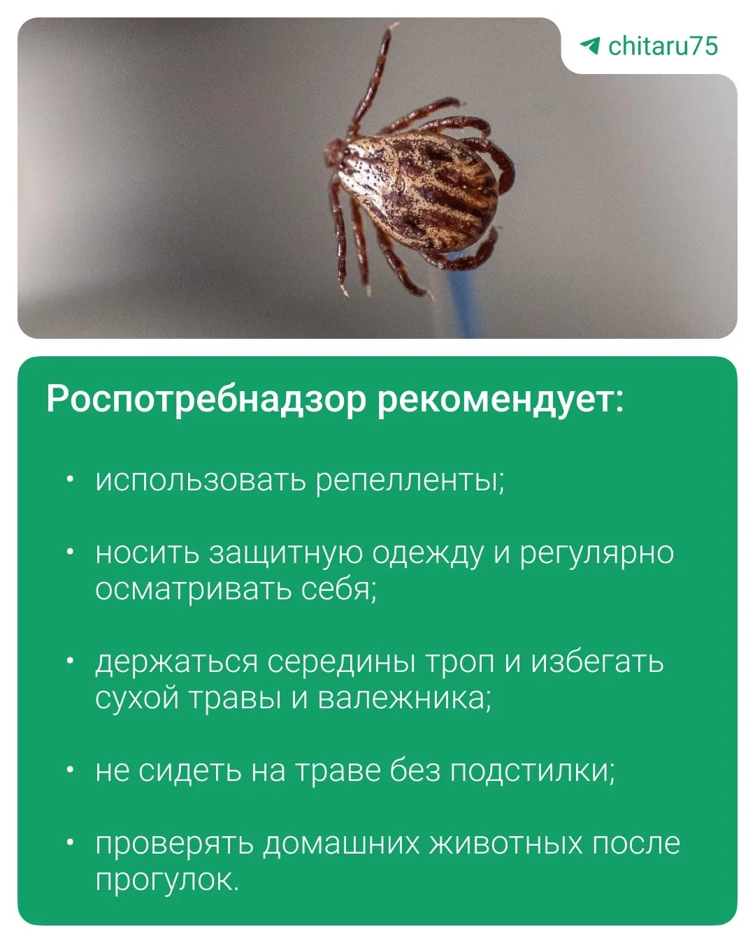 Проснулись.