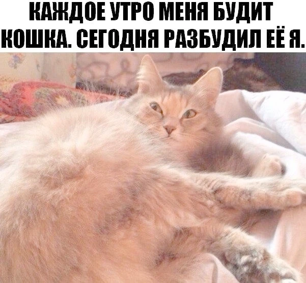 Создать ИИ песню 🎵