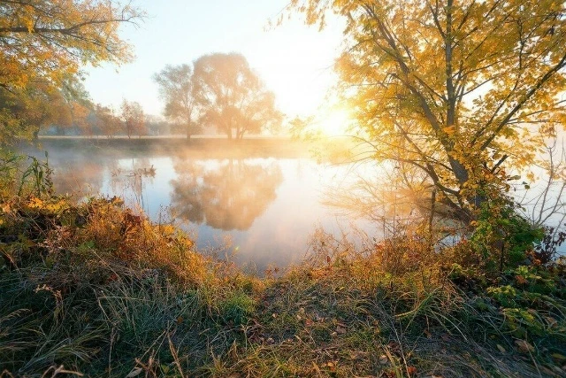 ☀ДОБРОЕ УТРО☀