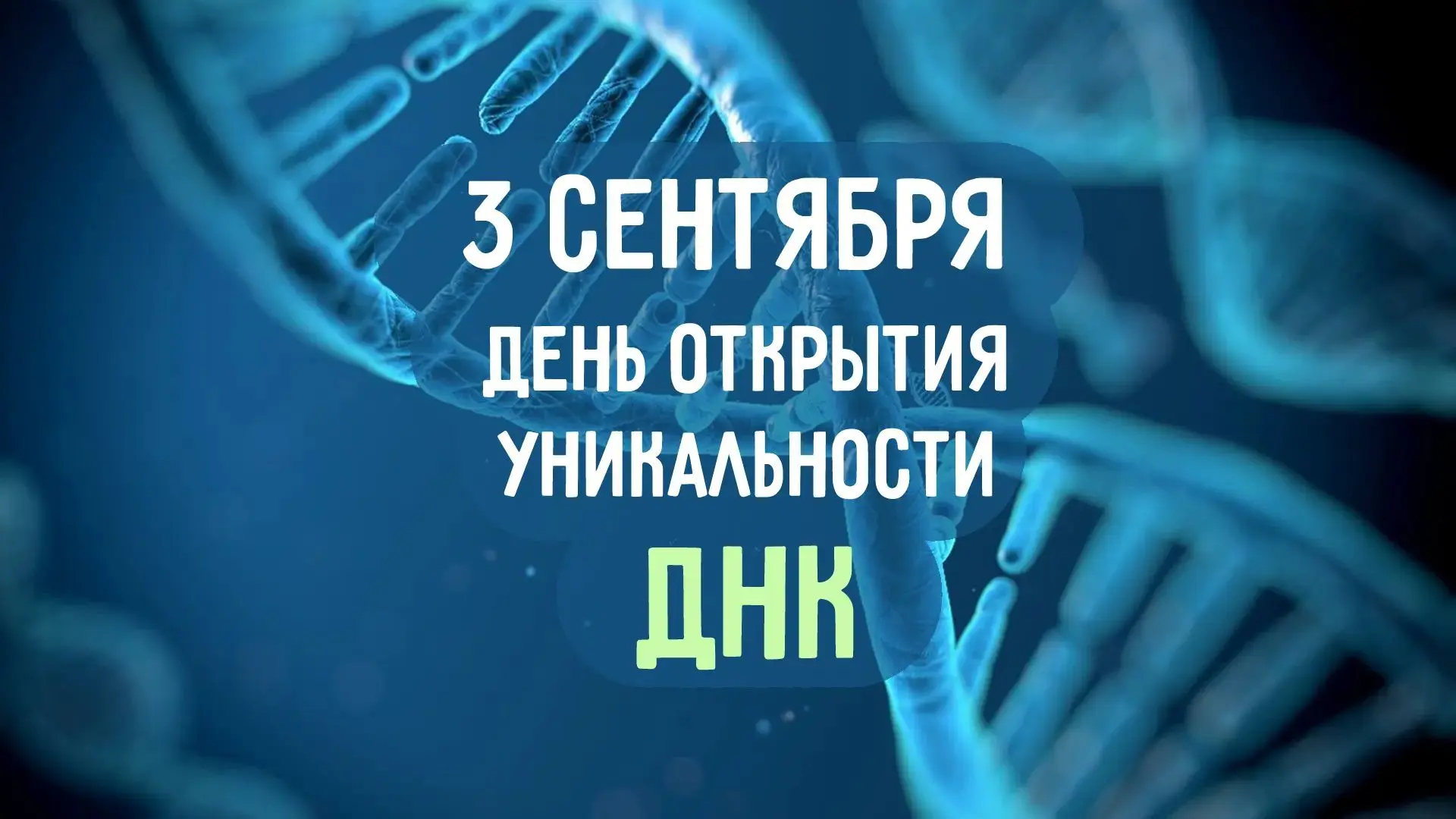 В 1984 году, а именно 3 сентября, учёный из Великобритании впервые показал, что молекул...