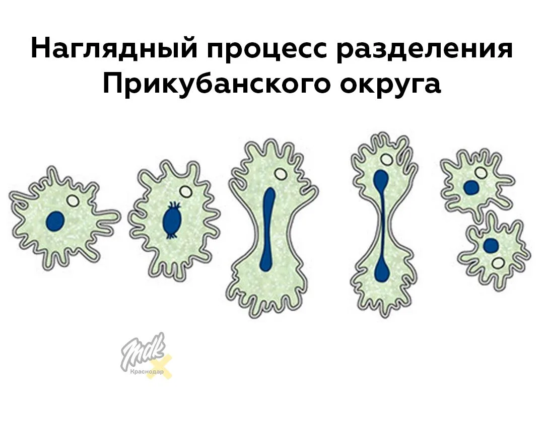В Краснодаре может появиться новый внутригородской округ

Власти обсуждают создание пятого округа Кр