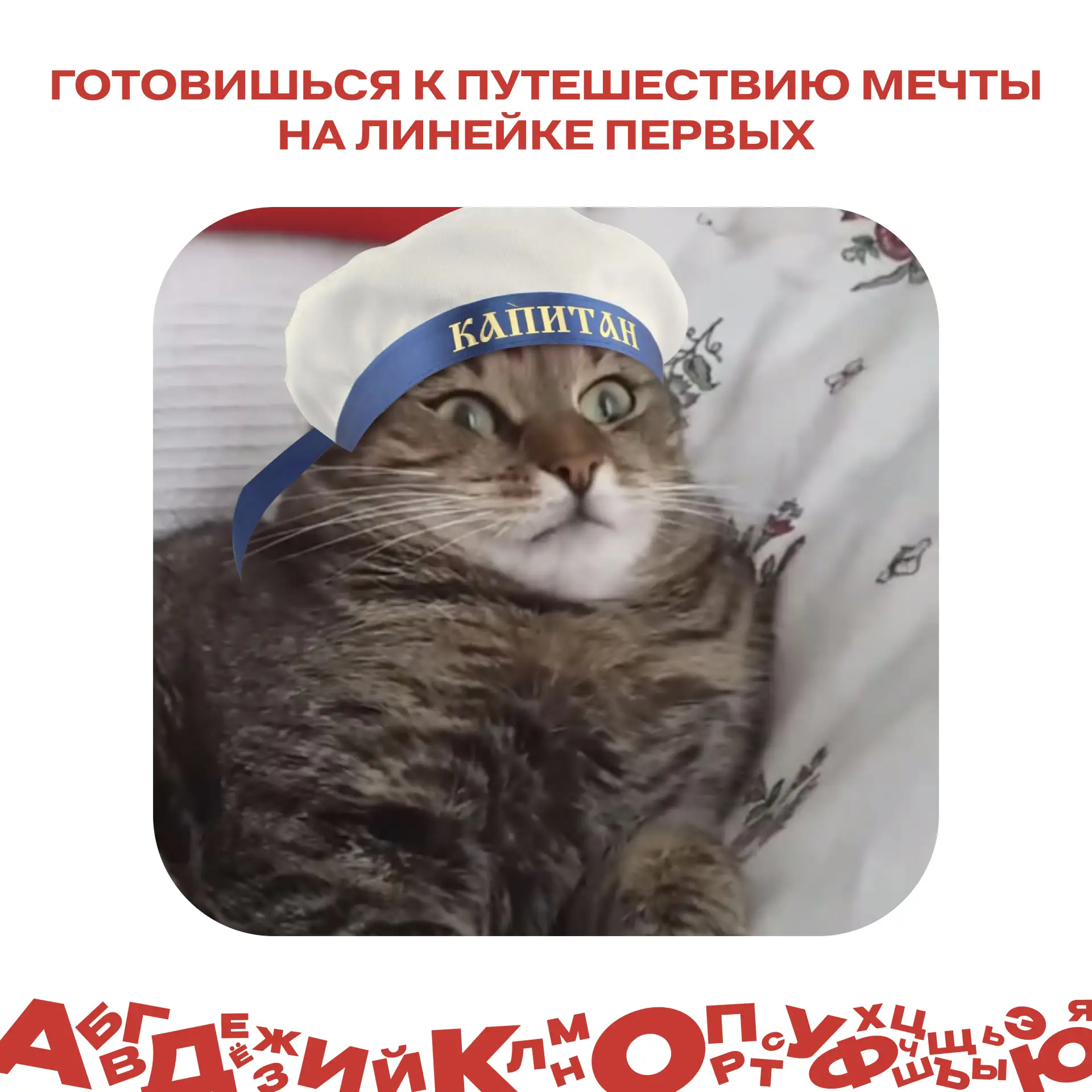 Представь, ты, мы, Обь...🛳️