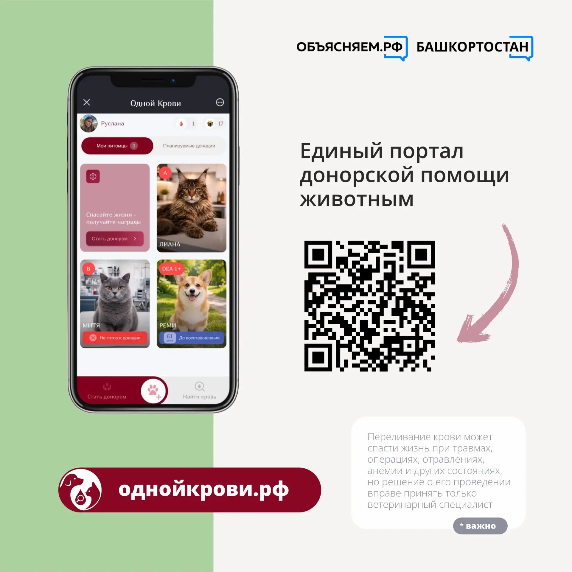 Раньше поиск донорской крови для животных был проблемой.