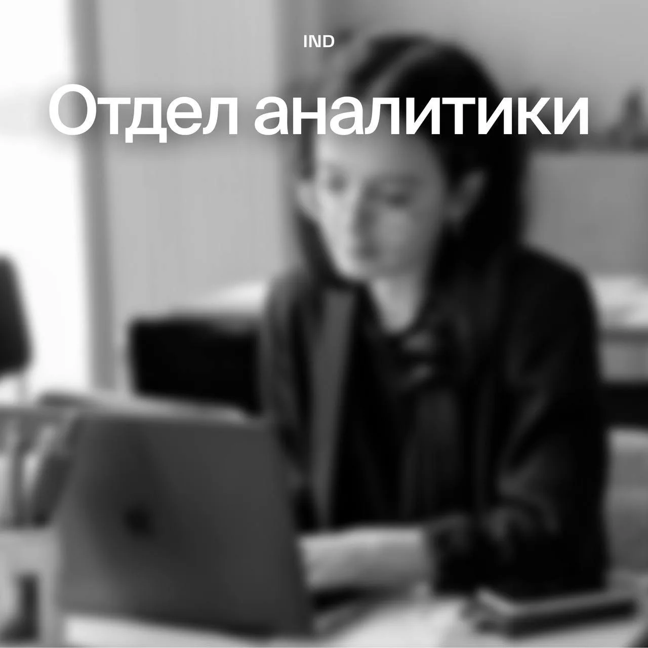 Кто в IND занимается анализом контекста и формирует образ территории как системы?