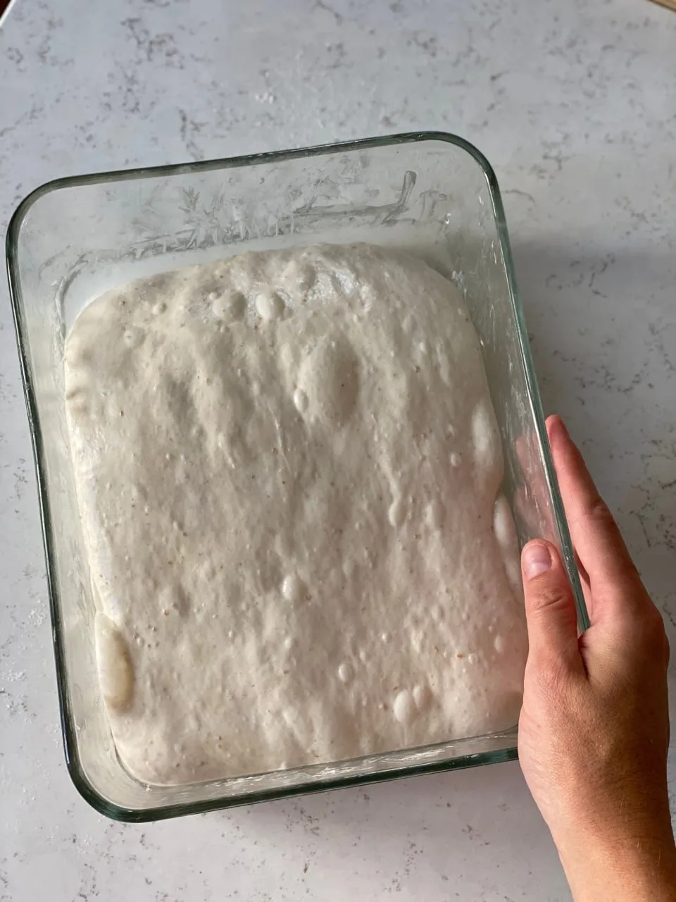 🇮🇹 В эти выходные в закрытом клубе Oh My Bread нас ждет невероятная тема — ЧАБАТТА на закваске с в