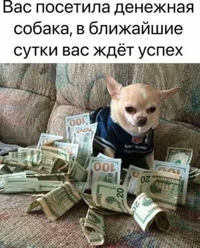 А тебе нужно только нажать «УЧАСТВУЮ» и ставить ❤️ на канале. Вот и все.