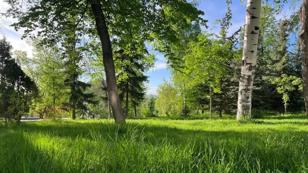🌳Аллергиков в Самаре атакует пыльца липы, злаков и сорняков

В регионе отмечается высокая активност