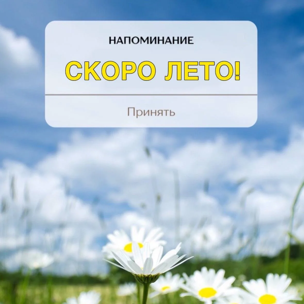 Уважаемые выпускники, лето уже совсем близко ☀️