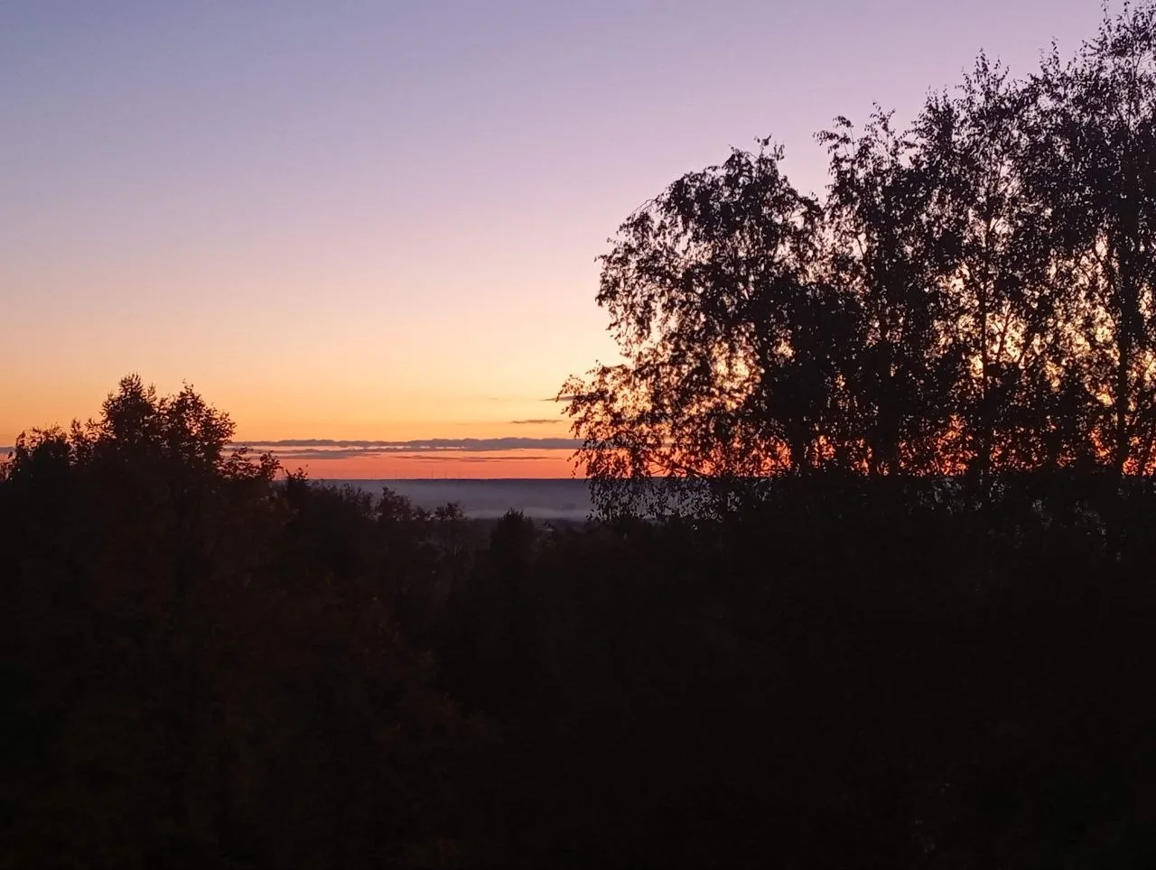 🍂 Золотые мгновения в Красноармейске