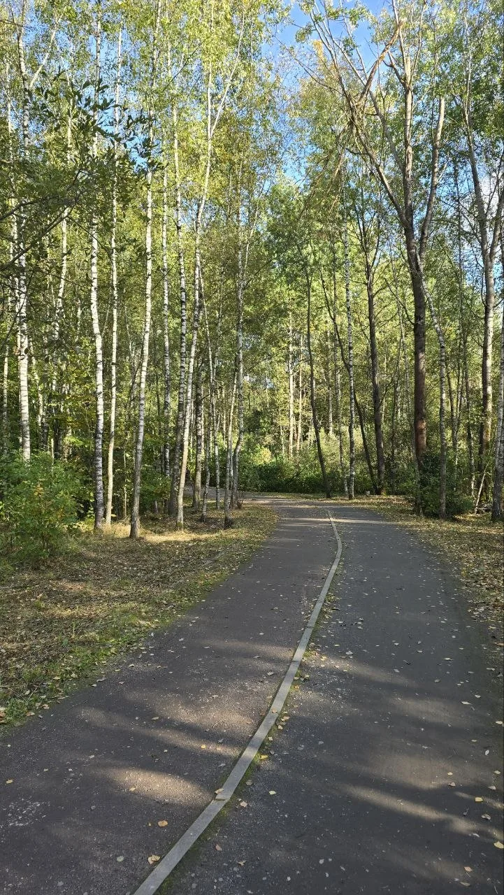 🌲 Мытищинский лесопарк. Зашли на полчаса, остались на несколько часов