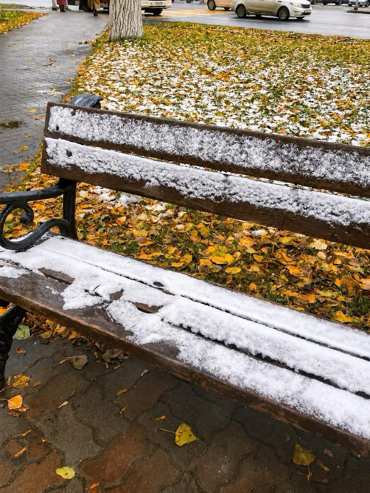 ❄️На севере области ждут похолодание, снег и гололед