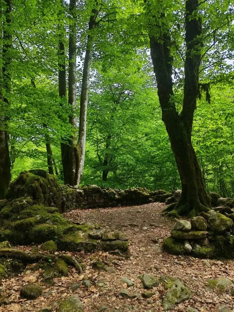 🌲 Прошлые выходные: 20 км, 11 смельчаков и один дождик, который не испортил волшебства!  В минувшие 