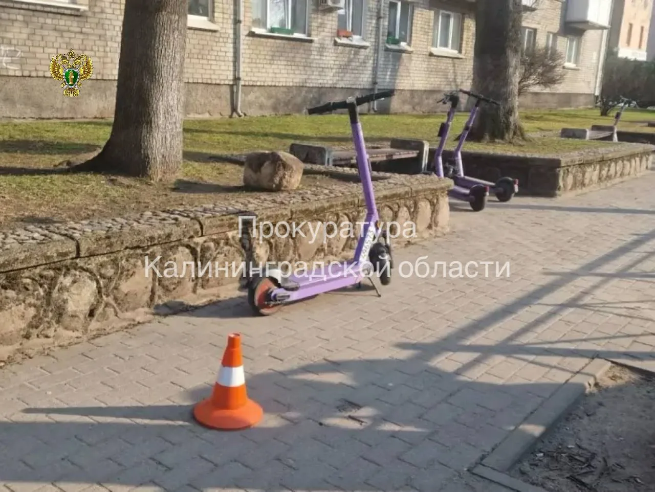 ❗️Прокуратура города Советска в суде защищает права пенсионерки, пострадавшей в результ...