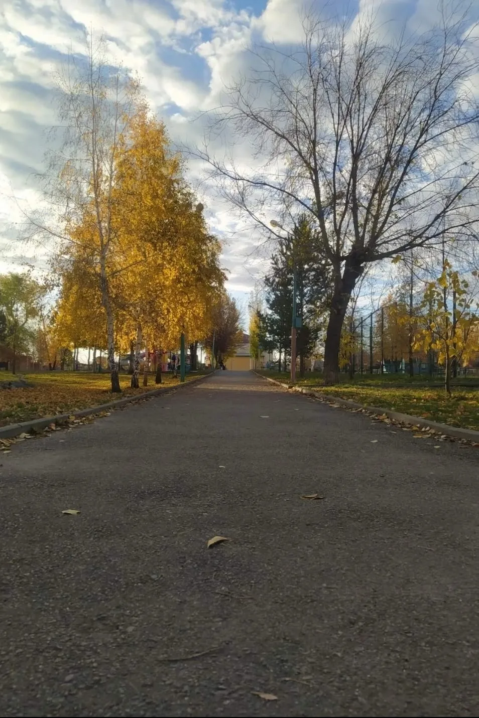Присылайте Ваши фото в "Предложить пост"