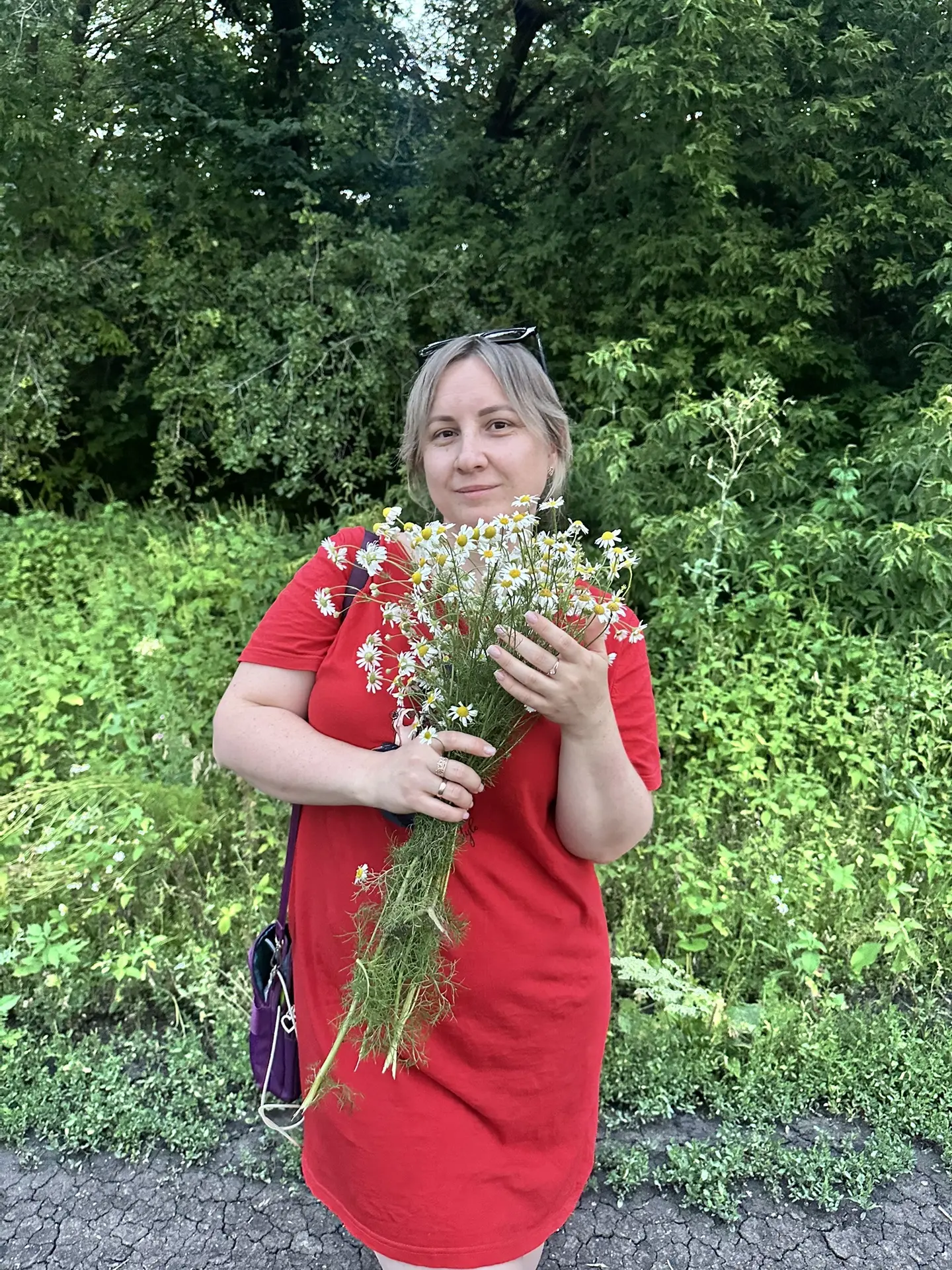 РОМАШКИ мои любимые ❤️