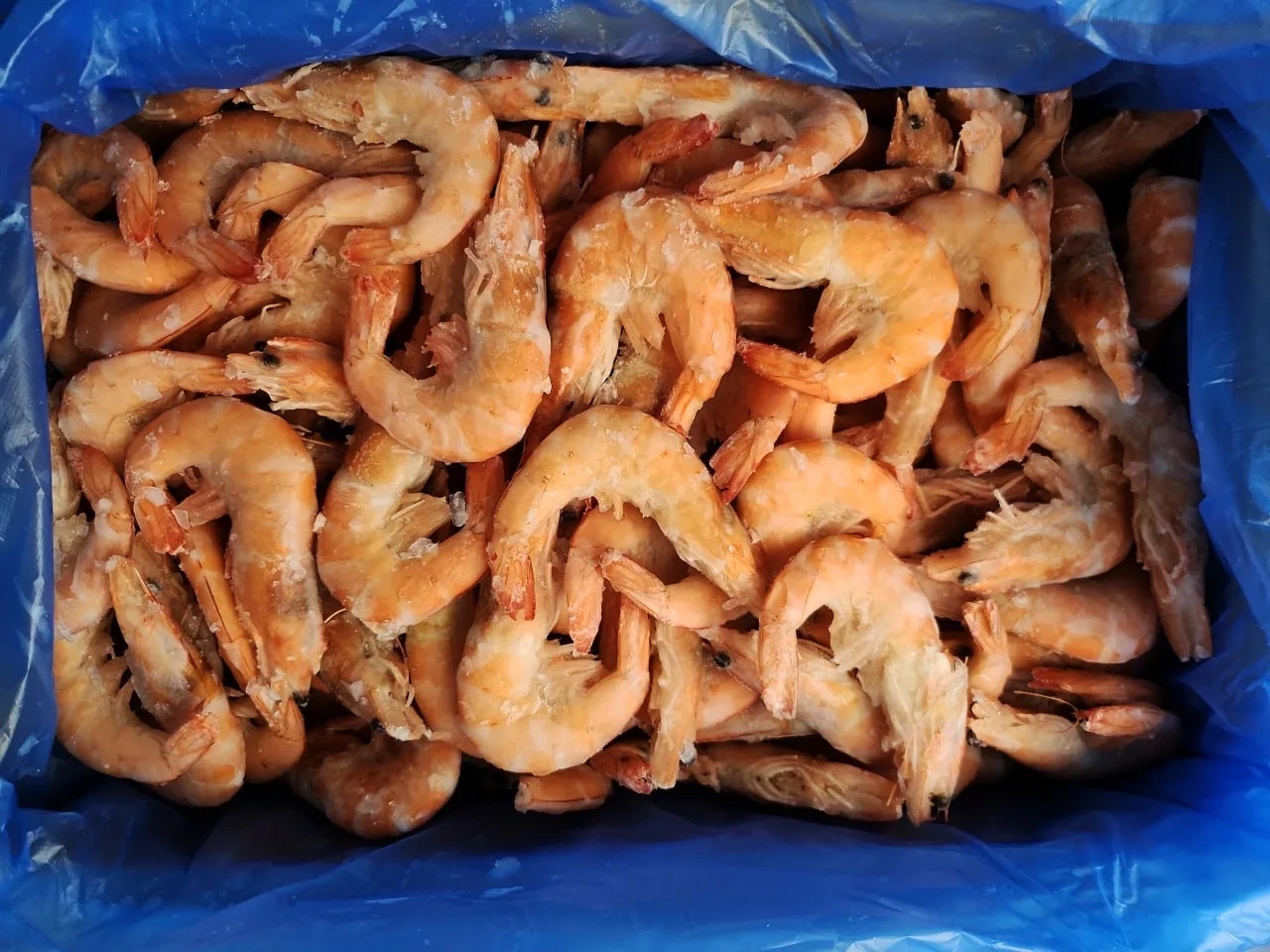 🦐 Креветка "Королевская"  варёно-мороженая 20/30 шт/кг. Вес короба - 5кг. Цена: 80 руб 70 коп за 100