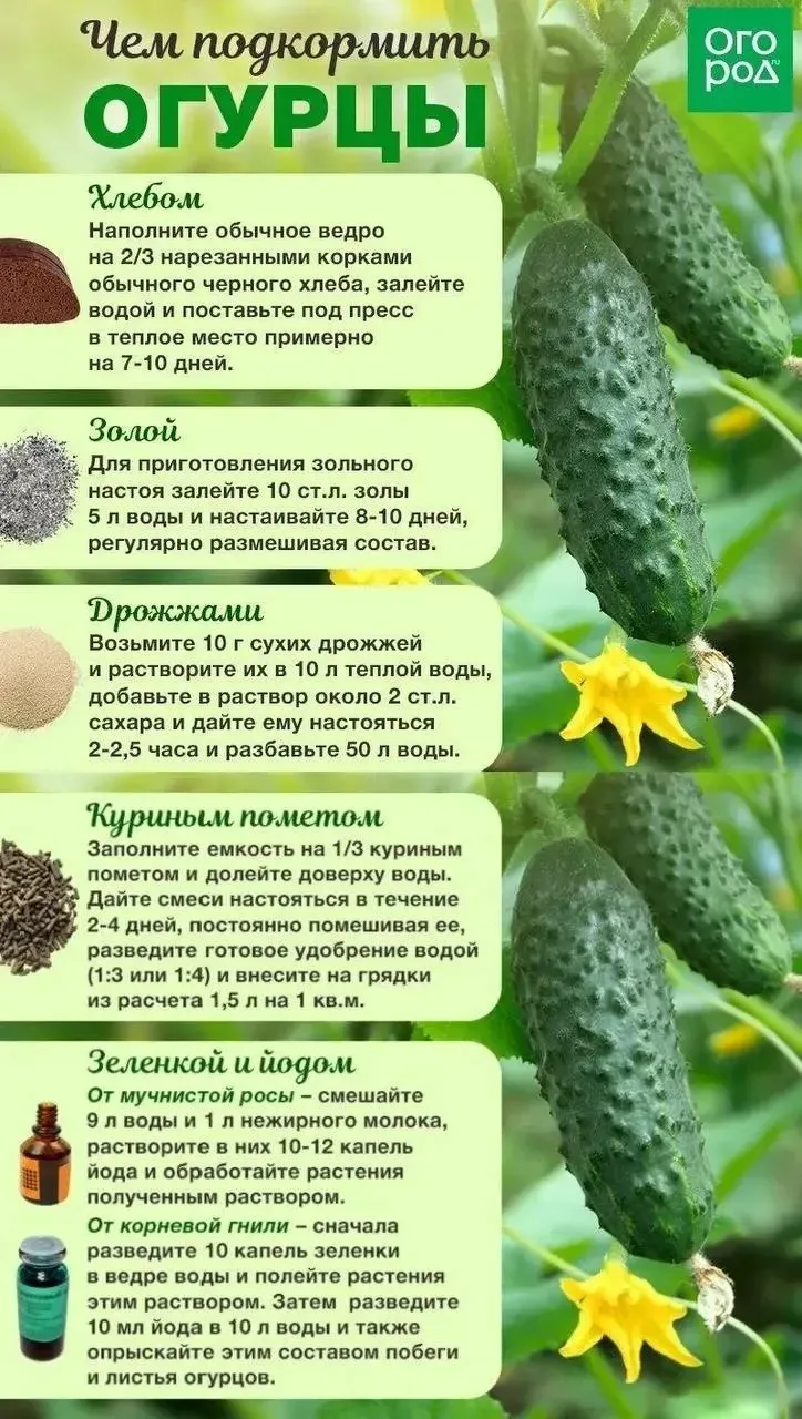 💡ПОЛЕЗНАЯ ИНФОРМАЦИЯ💡
БЕРЕМ НА ЗАМЕТКУ ДРУЗЬЯ📝

👉Дачный вопрос
